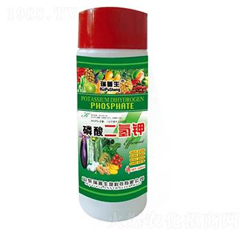 ��������-��������