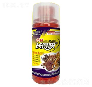 ˎ���L�ÿ�-��������