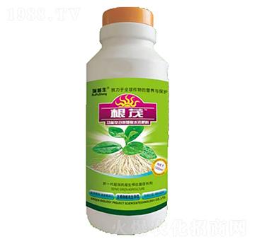 ��ï-��������