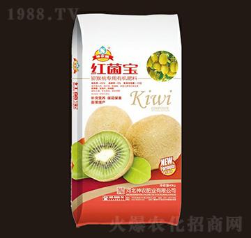 �J���Ҍ����ЙC����-�t