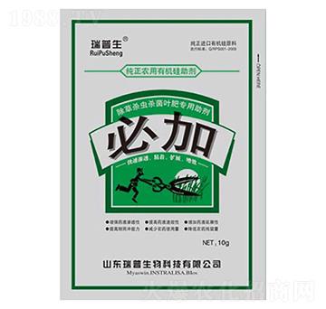 �ؼ�-��������