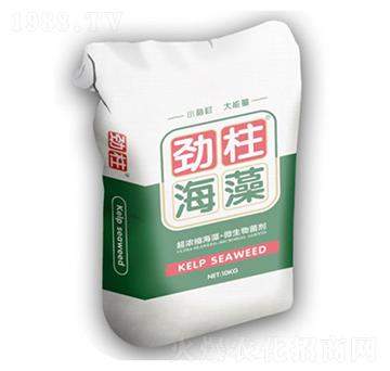 ��������-형r(sh��)�