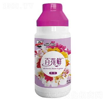 �ٻ��r����-������