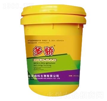 ����-ԣ��߿�