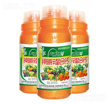 ����\�����}-ʩ����-ԣ��߿�