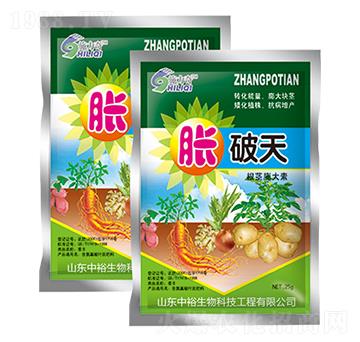 ���o�����-Û����-ԣ��߿�