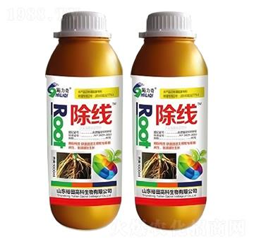 ����-ʩ����-ԣ��߿�