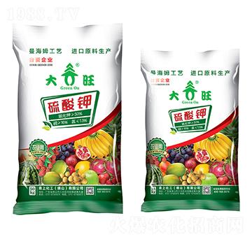 �����-���ϻ���