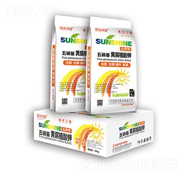 ���������S��ֲ���-�