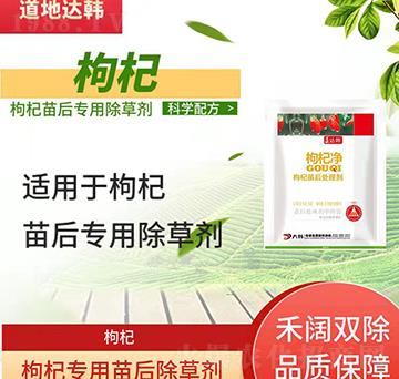 ��轳��݄�-������-