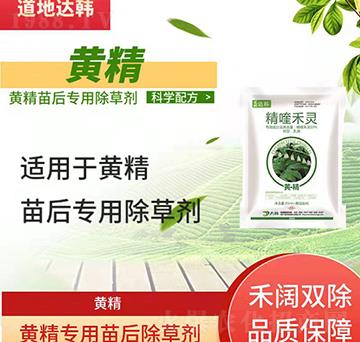 �S�����݄�-�S�����-