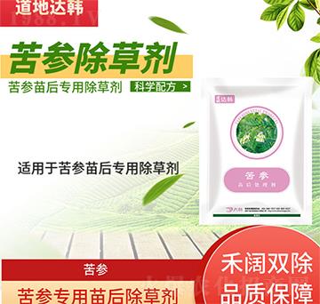 �������݄�-�������-