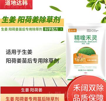 �����(y��ng)�ɽ����݄�-����