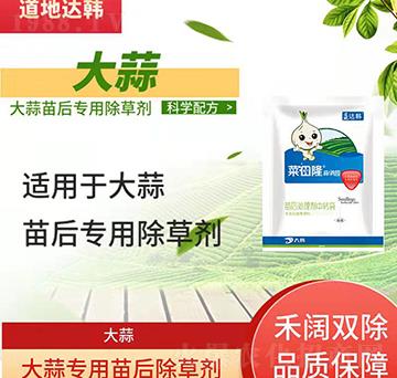 ������݄�-�������-