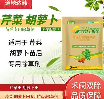 �۲˺��}�����݄�-�۲�