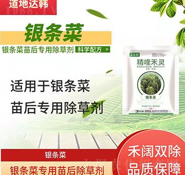 �y�l�˳��݄�-�y�l����