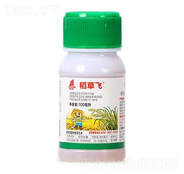 20%�������-�����w