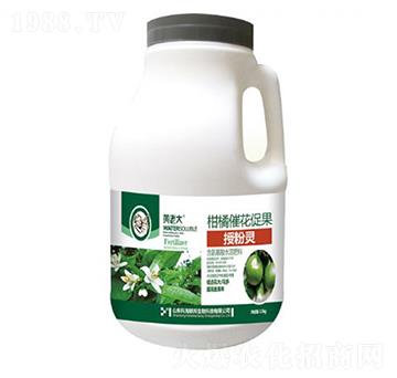 ���ٴ߻��ٹ��ڷ��`-�S