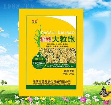 ��������-ֲʥ-��Ұ