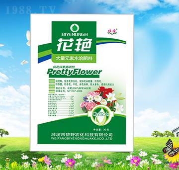 �������������ʹ���Ԫ��