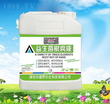 ������������-ֲʥ-��