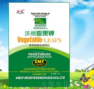 �ָ�����-��Ұ�r(n��ng)��