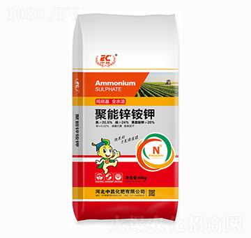 �����\�@�-�в�����