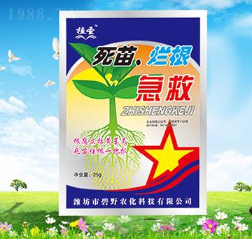 ���砀������-ֲʥ-��Ұ�r(n��ng)��