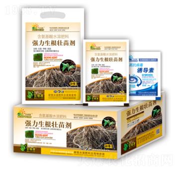 �����������焩-���ɷ�