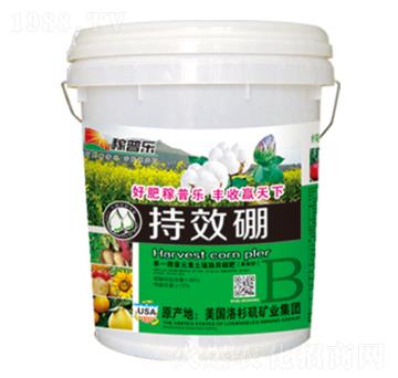 ��Ч���w����-���՘�