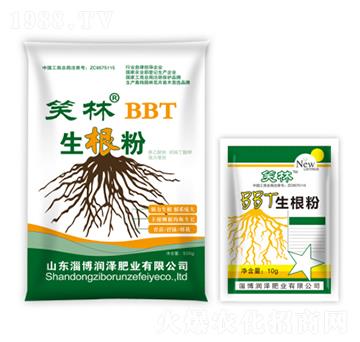 Ц��BBT������-����