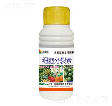 ����������-���՘�-��