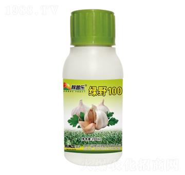 ���⌣���~���-�GҰ1