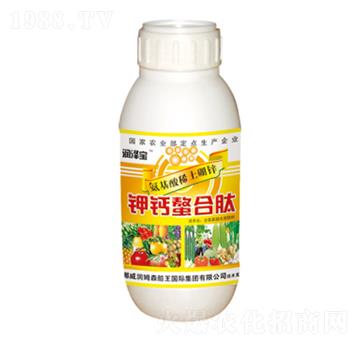 ��}������-���՘�-��