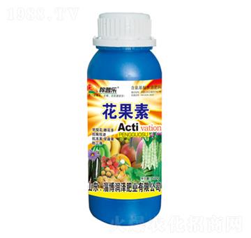 ������-���՘�-���ɷ�