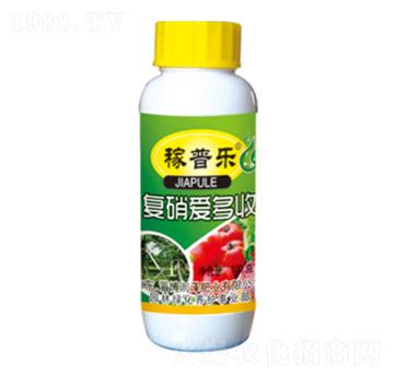 �����۶���-���՘�-��