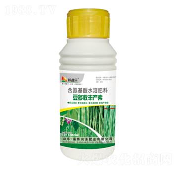 �������S�a(ch��n)��-���՘�-