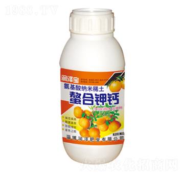 ������}-���Ɍ�-����