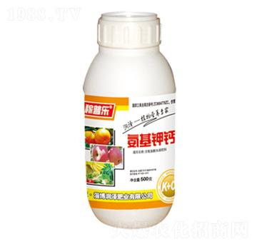 ������}-���՘�-����