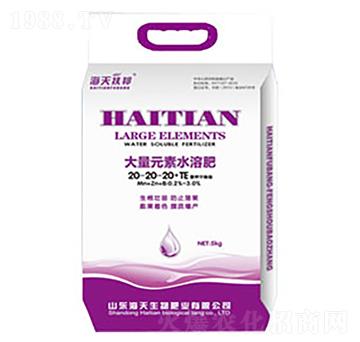 ����Ԫ��20-20-2