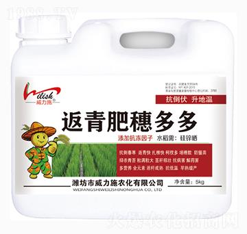 ���������-����ʩ