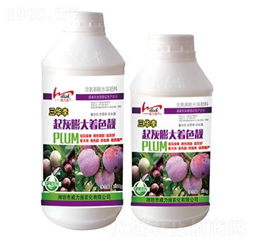 ���A����������ɫ�n-