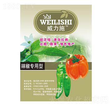 ������(zhu��n)����-����ʩ