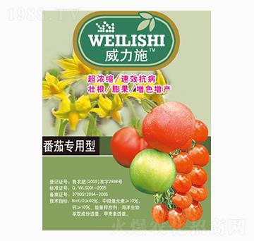 ���ь�(zhu��n)����-����ʩ