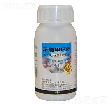 250��ÿ�����Ѽ׭h(hu��n)��