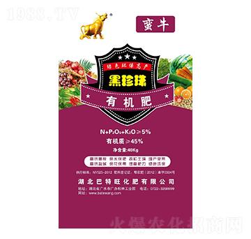 �������ЙC��-�Uţ-��