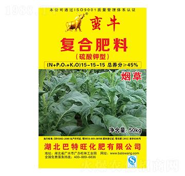 ���݌��ÏͺϷ���15-