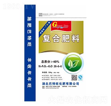 �ͺϷ���28-6-6-�V�k-������