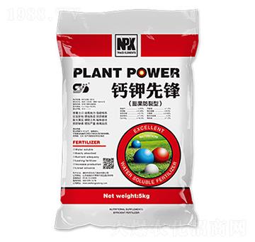 �}����h-���|����