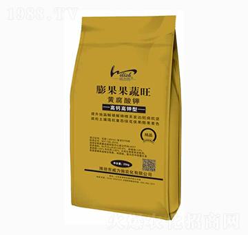 �S�����-���������-